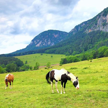 Hotel Glamping Hohe Wand - Zelt Mit Sternenfenster Und Whirlpool Maiersdorf Exterior foto