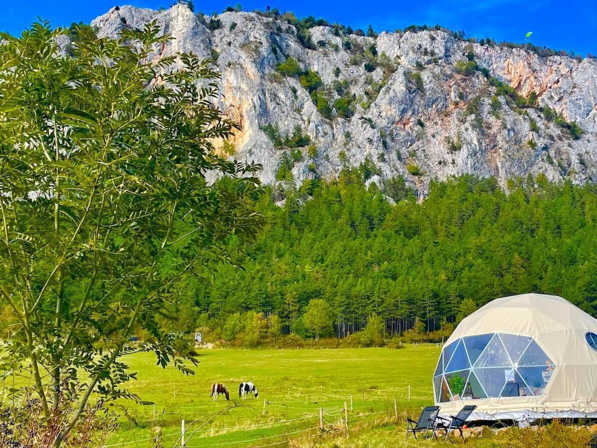 Hotel Glamping Hohe Wand - Zelt Mit Sternenfenster Und Whirlpool Maiersdorf Exterior foto